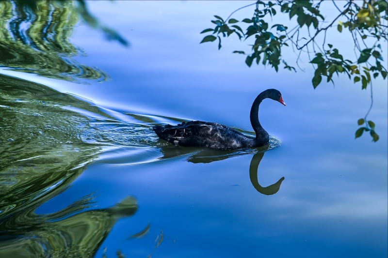 暖心工“汇”│“微光成炬 美在寻常”系列展播②