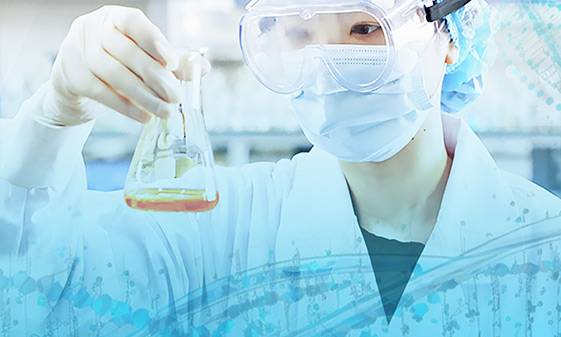 我们的研发领域